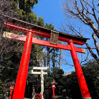 画像1323