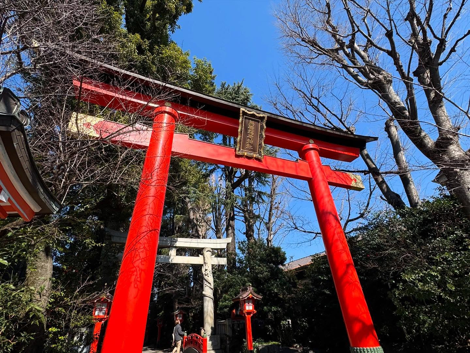 画像1323