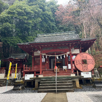 画像1335