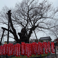 画像1342