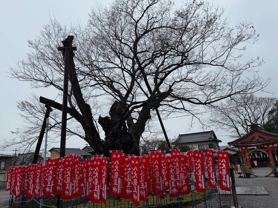 画像1342