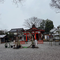 画像1343