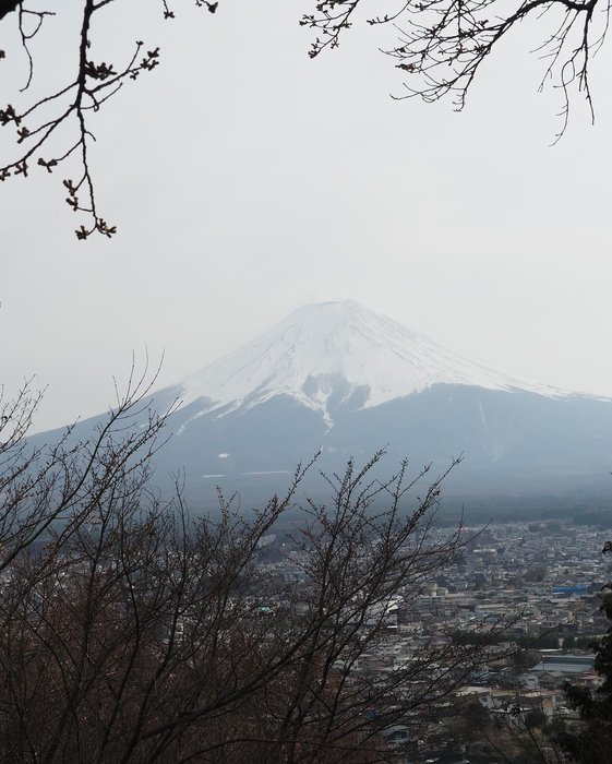 画像1362