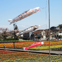 画像1376