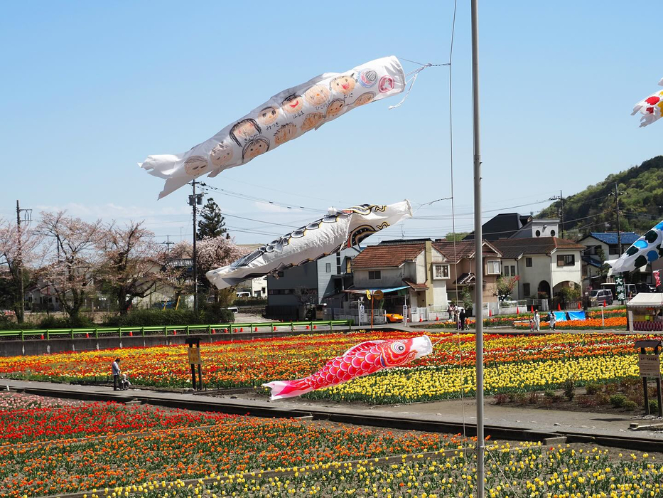 画像1376