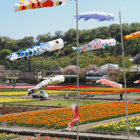 画像1379