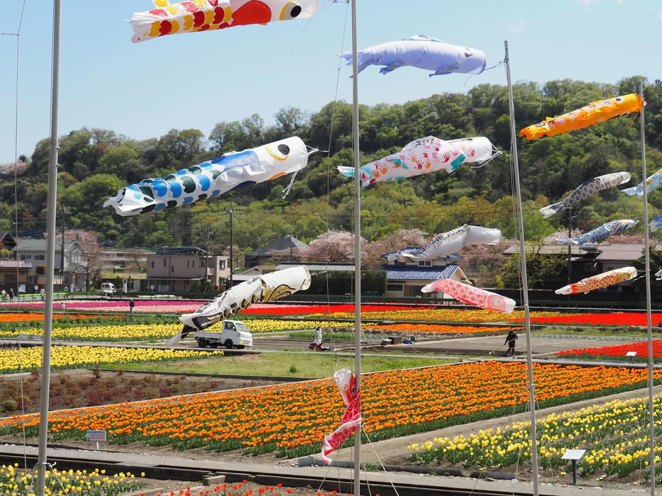 画像1379