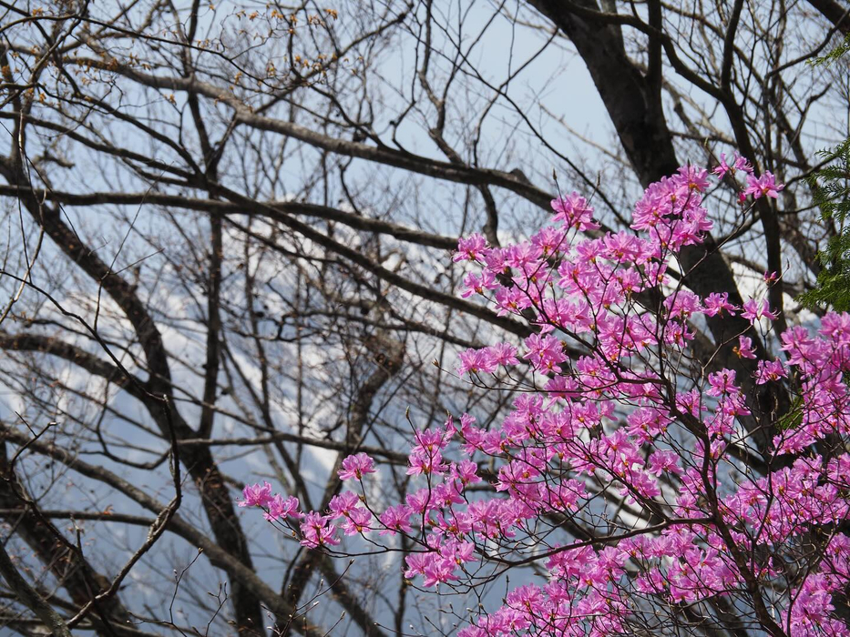 画像1400
