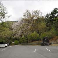 画像1405