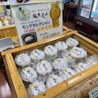 画像1427