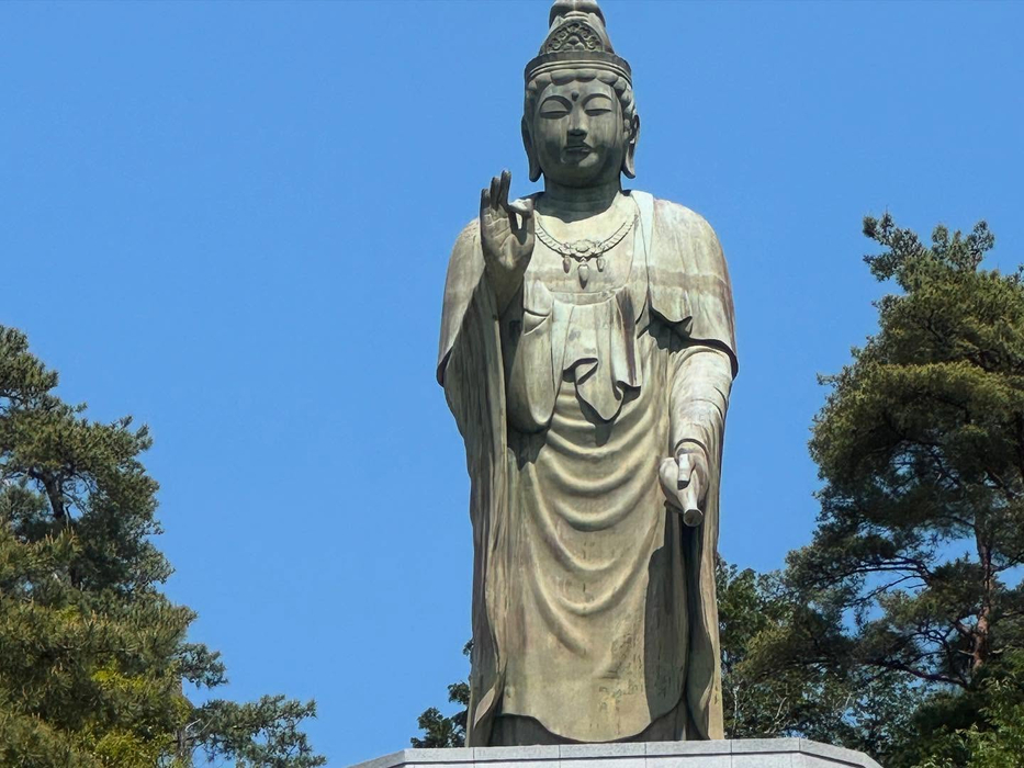 画像1441