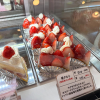 画像1459