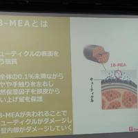 画像1485
