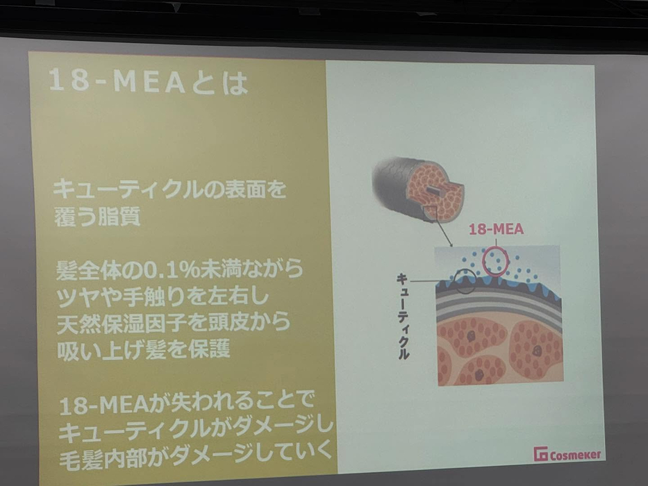 画像1485