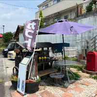 画像1495