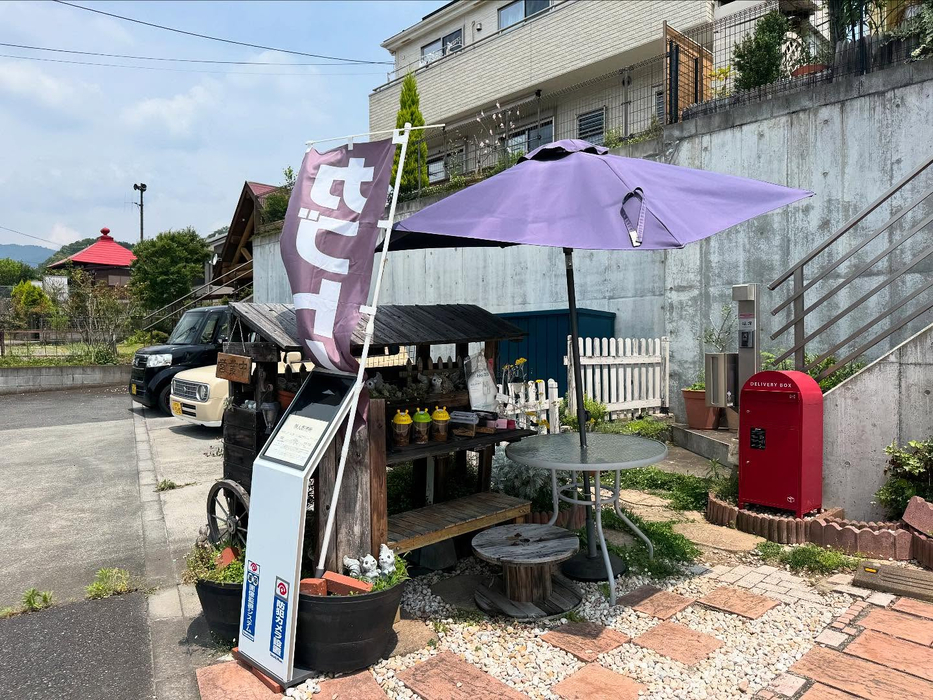 画像1495