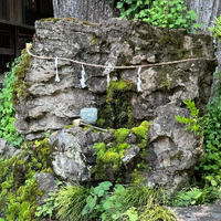 画像1496