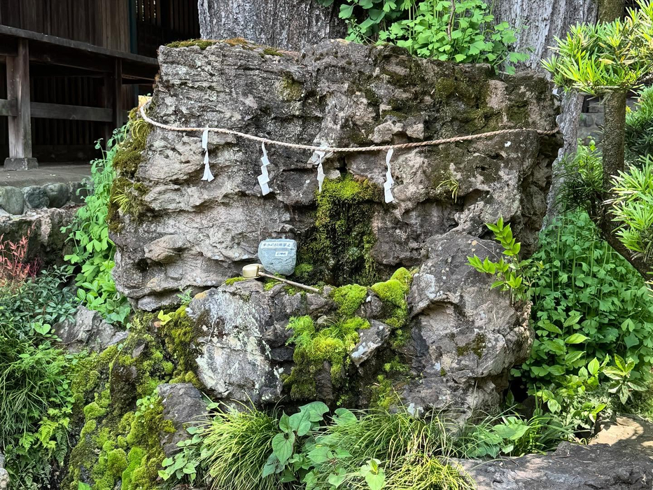 画像1496