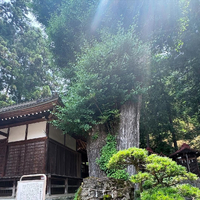 画像1497