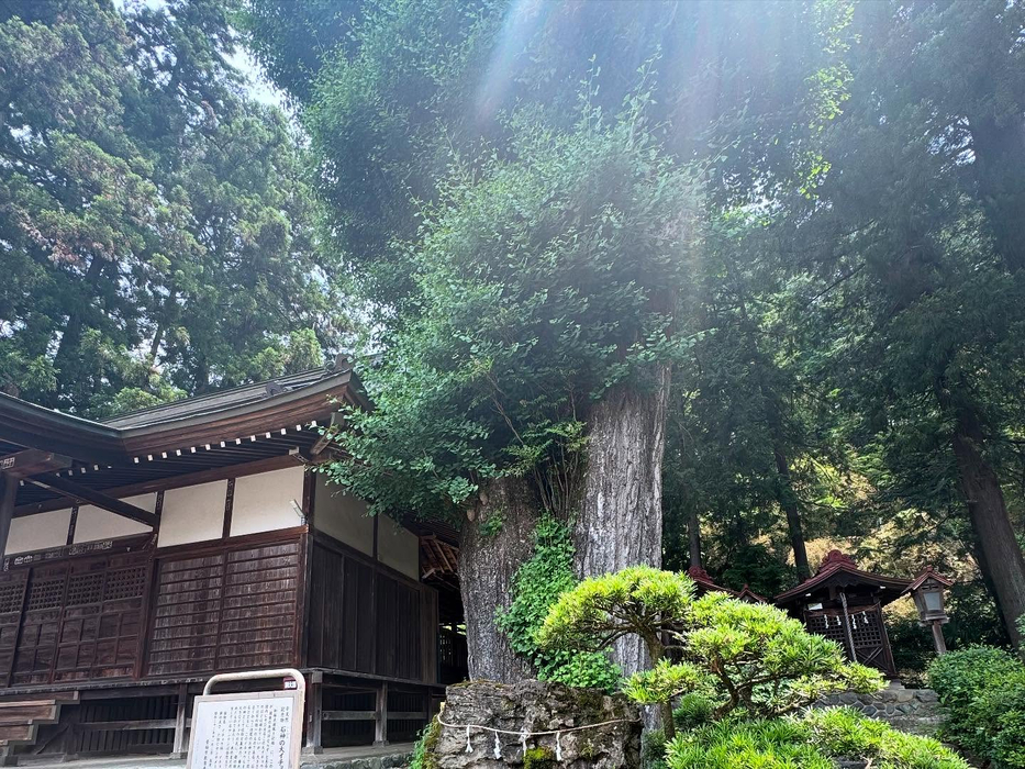 画像1497
