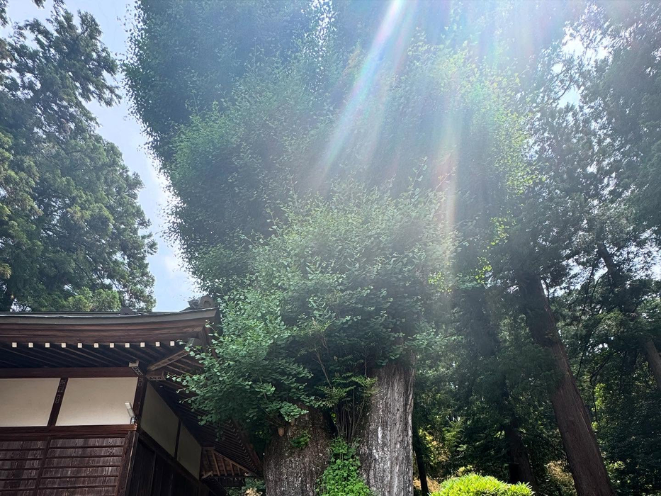 画像1498