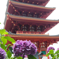 画像1532
