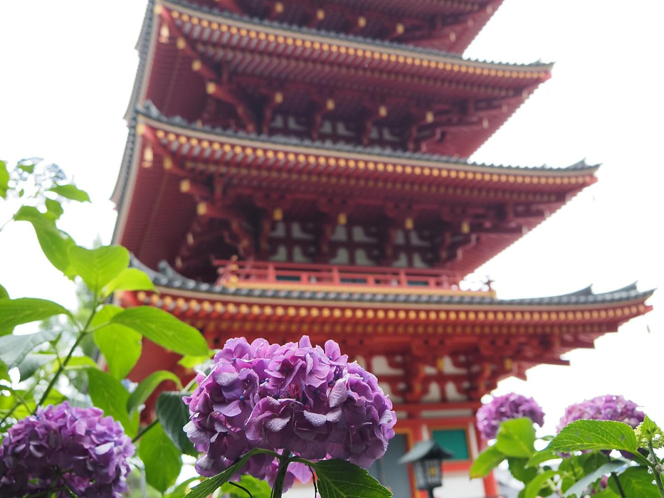 画像1532