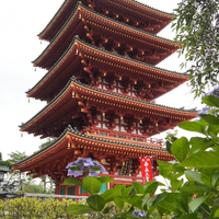 画像1539