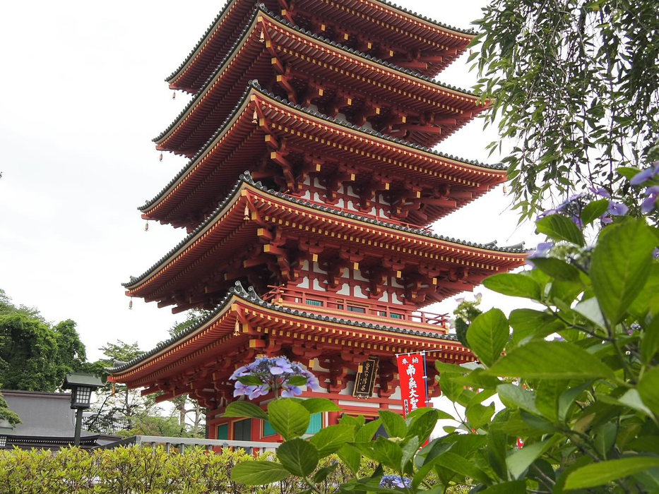 画像1539