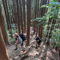 画像1644