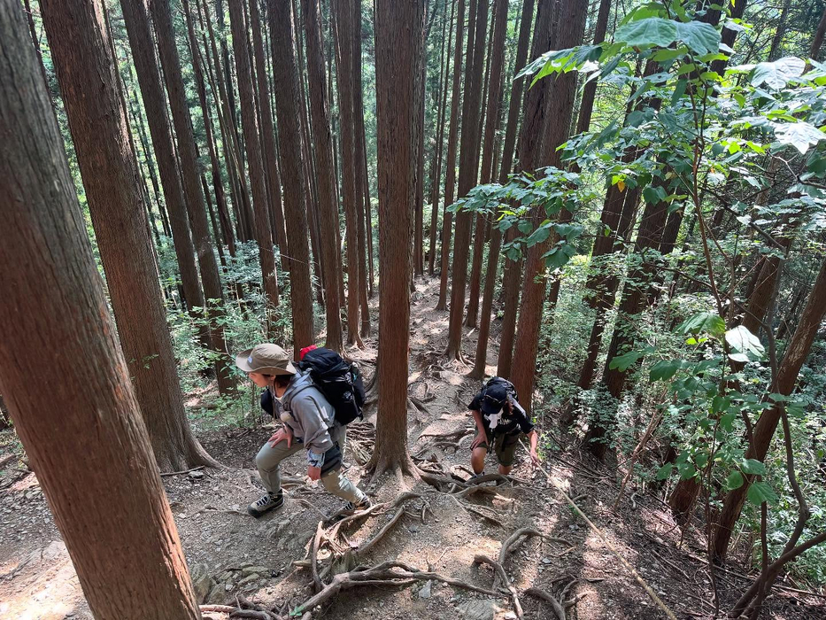 画像1644