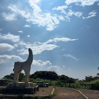 画像1647