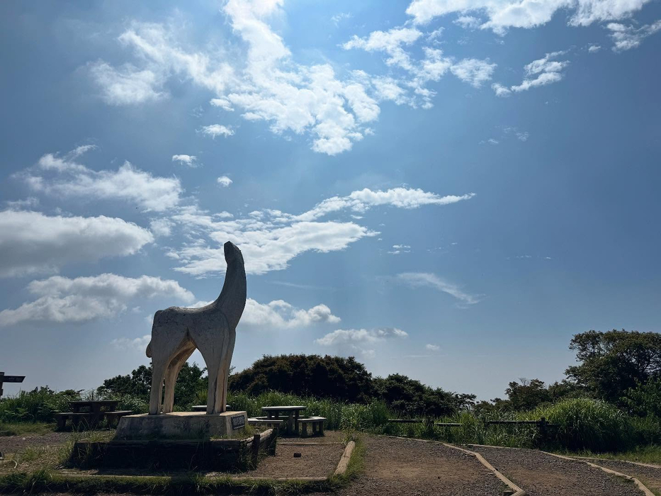 画像1647