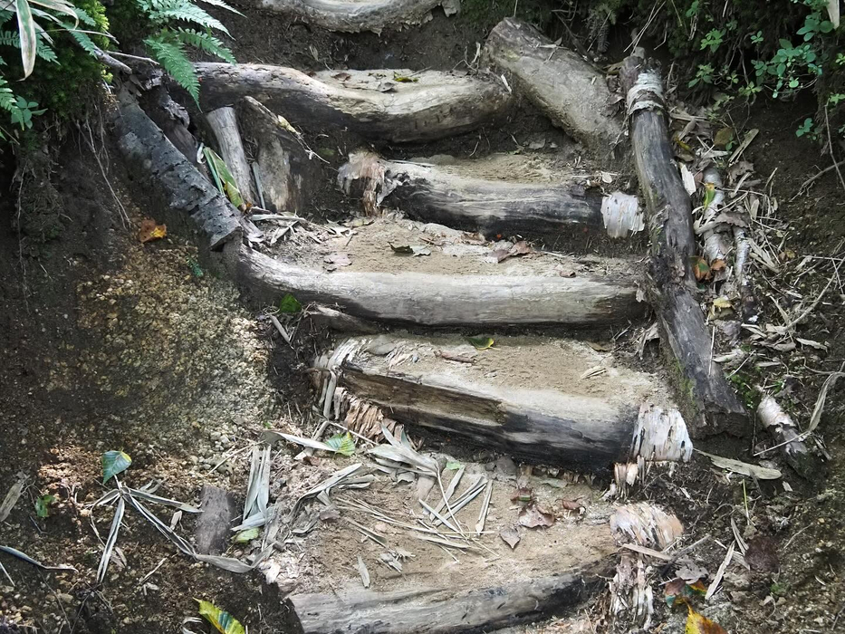 画像1760