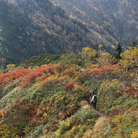 画像1865
