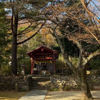 画像1981