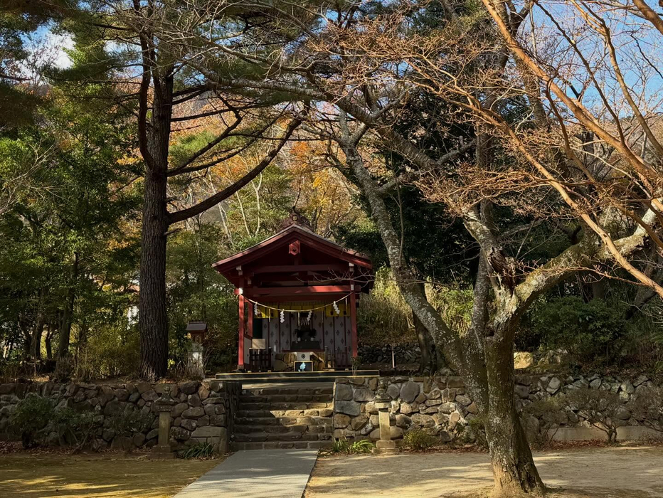 画像1981