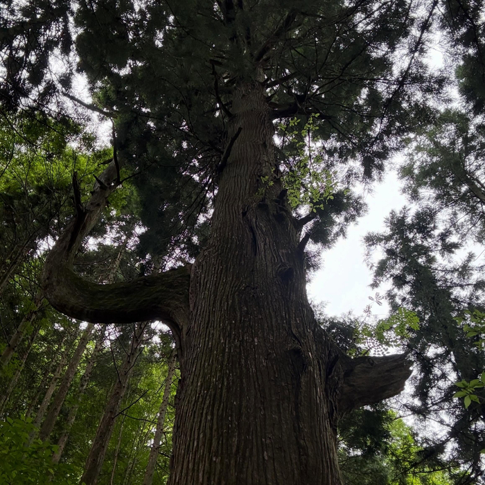 画像2255