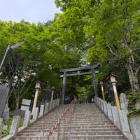 画像2263