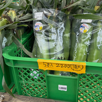 画像2325