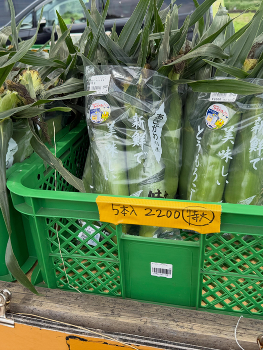 画像2325