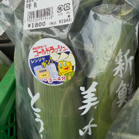 画像2328