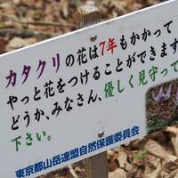 画像253