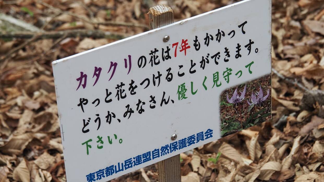 画像253
