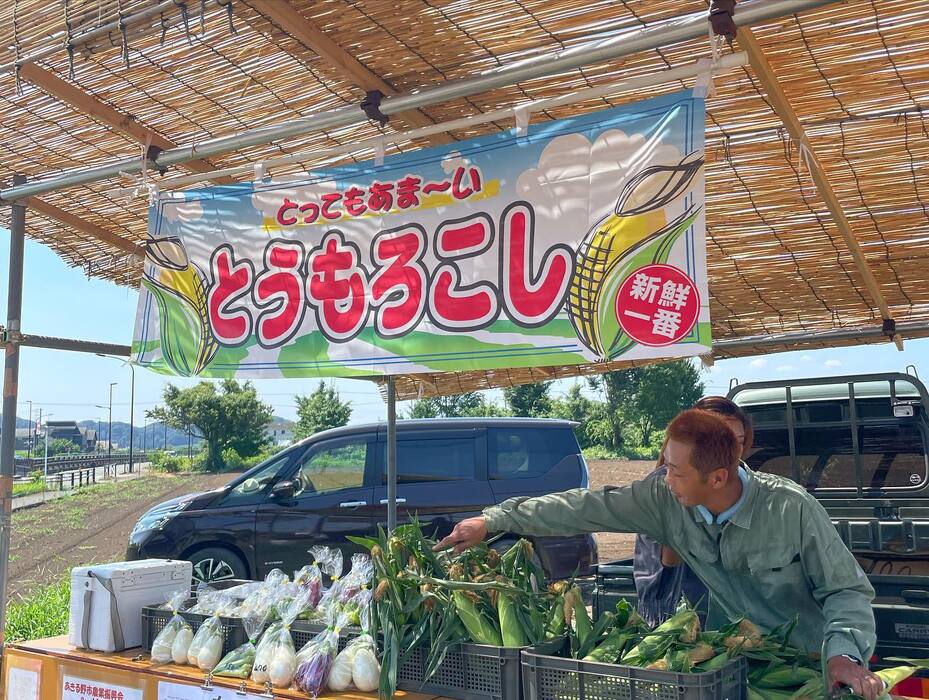 画像401