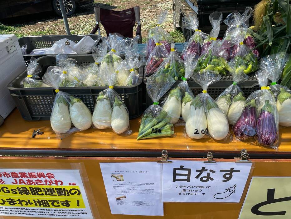 画像405
