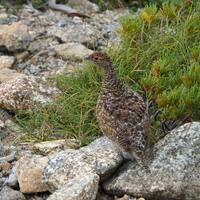 画像469