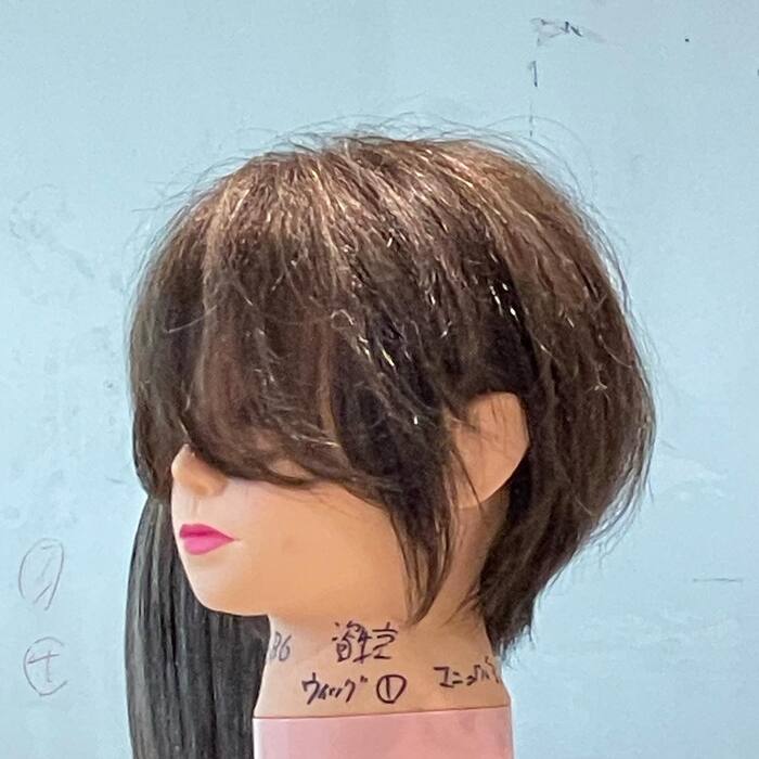 画像498