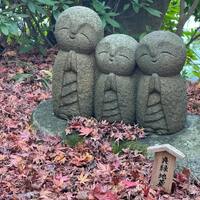 画像602