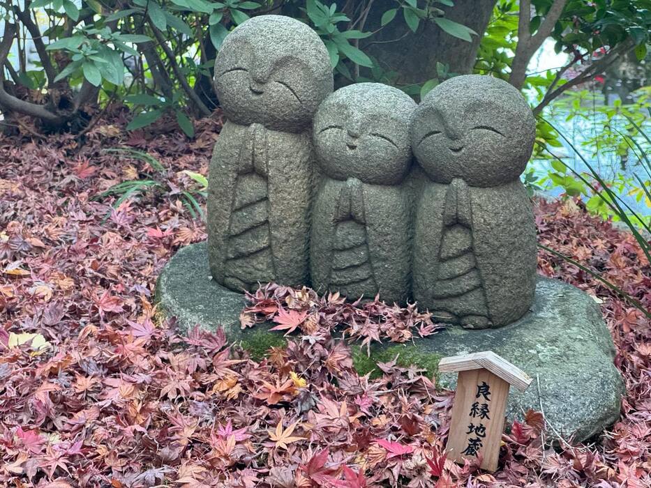 画像602